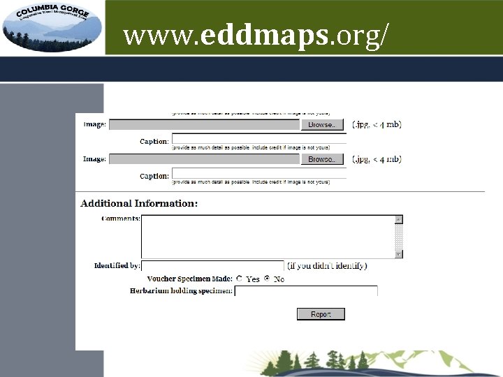 www. eddmaps. org/ 