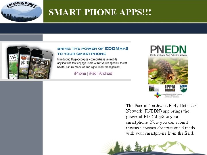 SMART PHONE APPS!!! The Pacific Northwest Early Detection Network (PNEDN) app brings the power