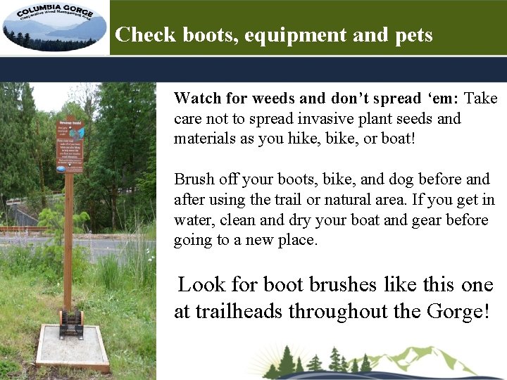 Check boots, equipment and pets Watch for weeds and don’t spread ‘em: Take care