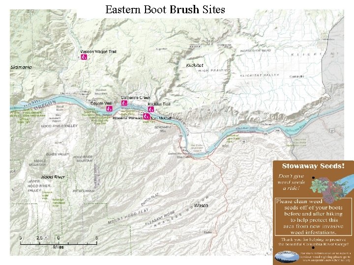 Eastern Boot Brush Sites 