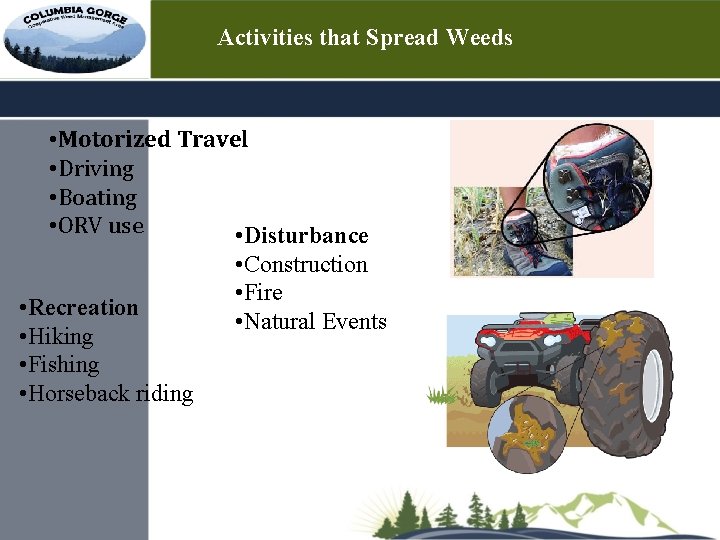 Activities that Spread Weeds • Motorized Travel • Driving • Boating • ORV use