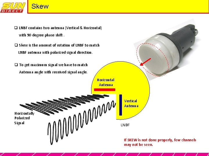 Skew q LNBF contains two antenna (Vertical & Horizontal) with 90 degree phase shift.
