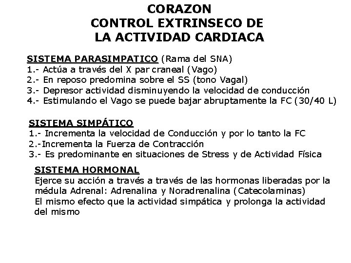 CORAZON CONTROL EXTRINSECO DE LA ACTIVIDAD CARDIACA SISTEMA PARASIMPATICO (Rama del SNA) PARASIMPATICO 1.