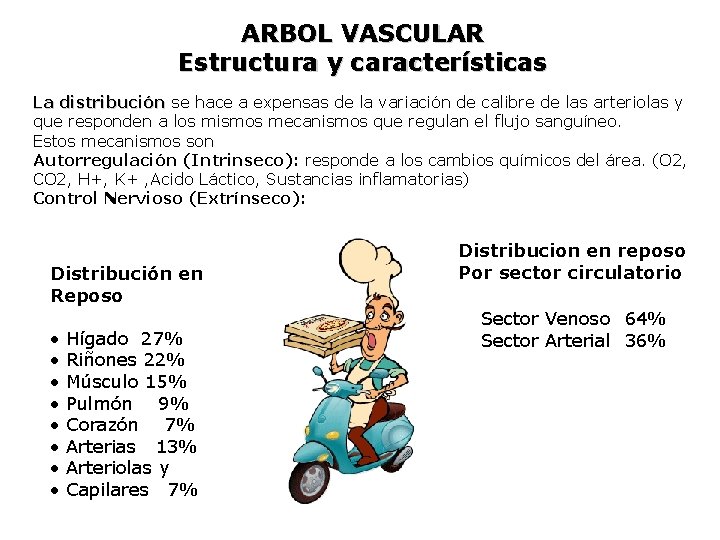 ARBOL VASCULAR Estructura y características La distribución se hace a expensas de la variación