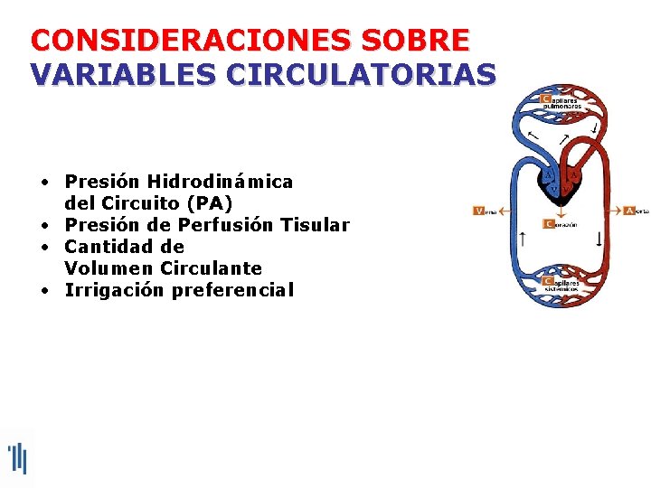 CONSIDERACIONES SOBRE VARIABLES CIRCULATORIAS • Presión Hidrodinámica del Circuito (PA) • Presión de Perfusión