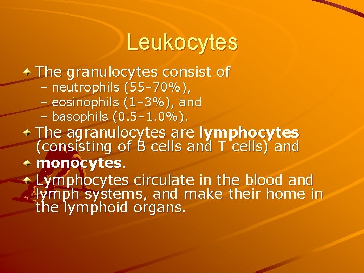 Leukocytes The granulocytes consist of – neutrophils (55– 70%), – eosinophils (1– 3%), and