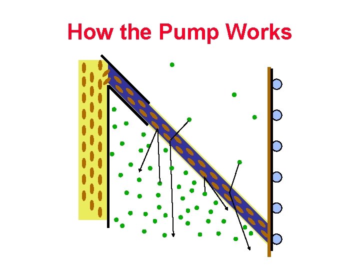 How the Pump Works 