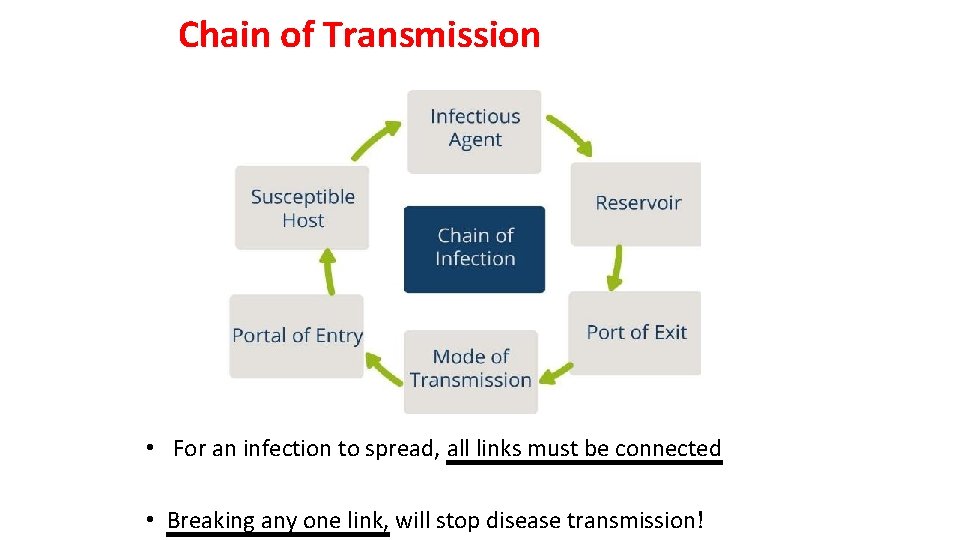 Chain of Transmission • For an infection to spread, all links must be connected