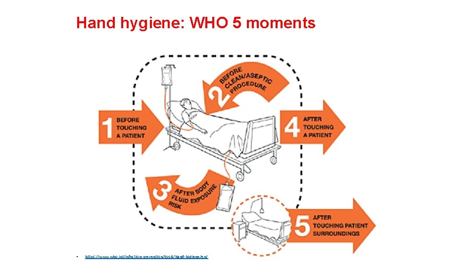 Hand hygiene: WHO 5 moments • https: //www. who. int/infection-prevention/tools/hand-hygiene/en/ 