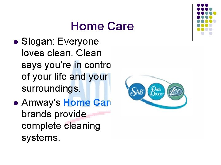 Home Care l l Slogan: Everyone loves clean. Clean says you’re in control of