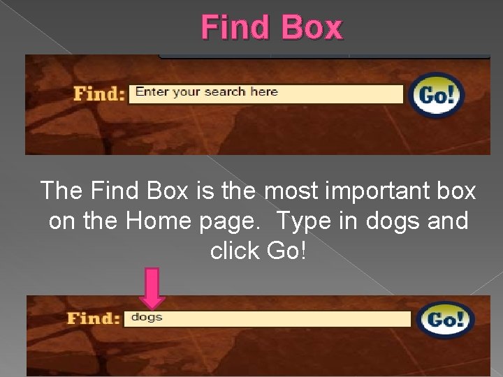 Find Box The Find Box is the most important box on the Home page.