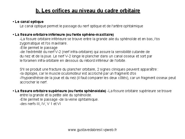 b. Les orifices au niveau du cadre orbitaire • Le canal optique permet le