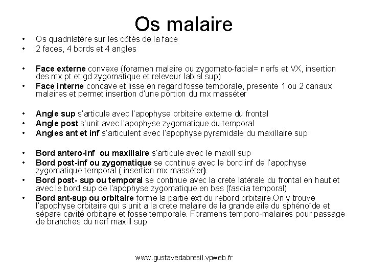Os malaire • • Os quadrilatère sur les côtés de la face 2 faces,