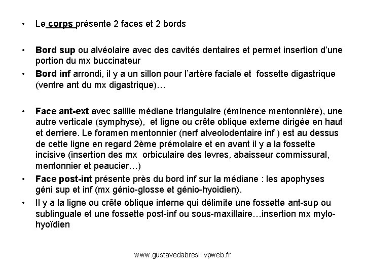  • Le corps présente 2 faces et 2 bords • Bord sup ou