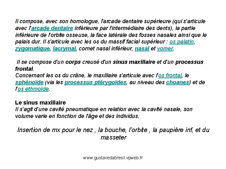 Il compose, avec son homologue, l'arcade dentaire supérieure (qui s'articule avec l'arcade dentaire inférieure