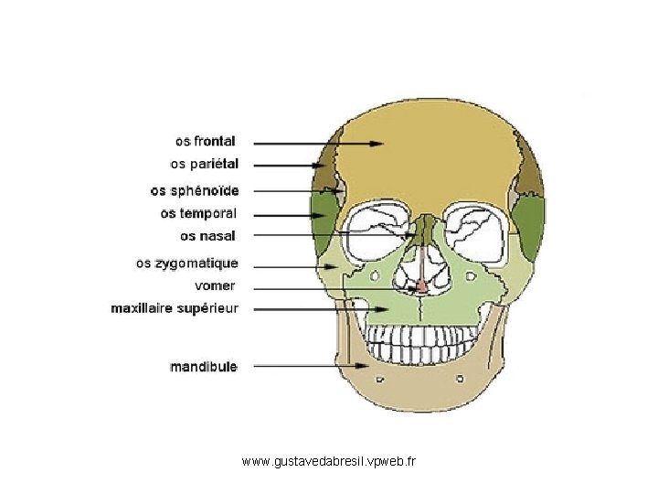 www. gustavedabresil. vpweb. fr 