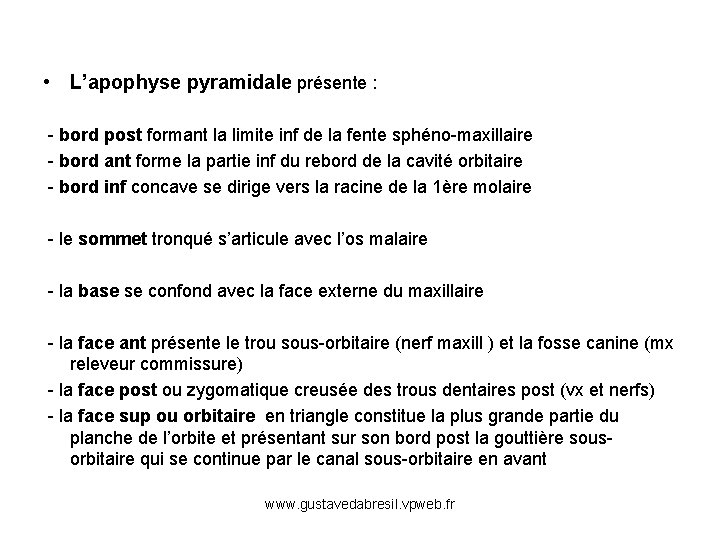  • L’apophyse pyramidale présente : - bord post formant la limite inf de
