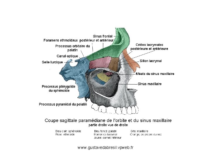 www. gustavedabresil. vpweb. fr 