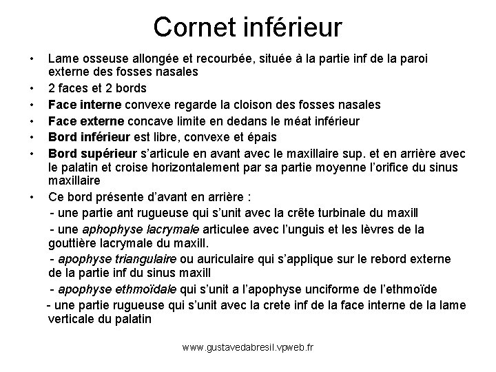 Cornet inférieur • Lame osseuse allongée et recourbée, située à la partie inf de