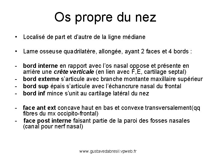 Os propre du nez • Localisé de part et d’autre de la ligne médiane