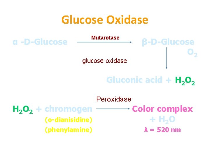 Glucose Oxidase α -D-Glucose Mutarotase glucose oxidase β-D-Glucose O 2 Gluconic acid + H