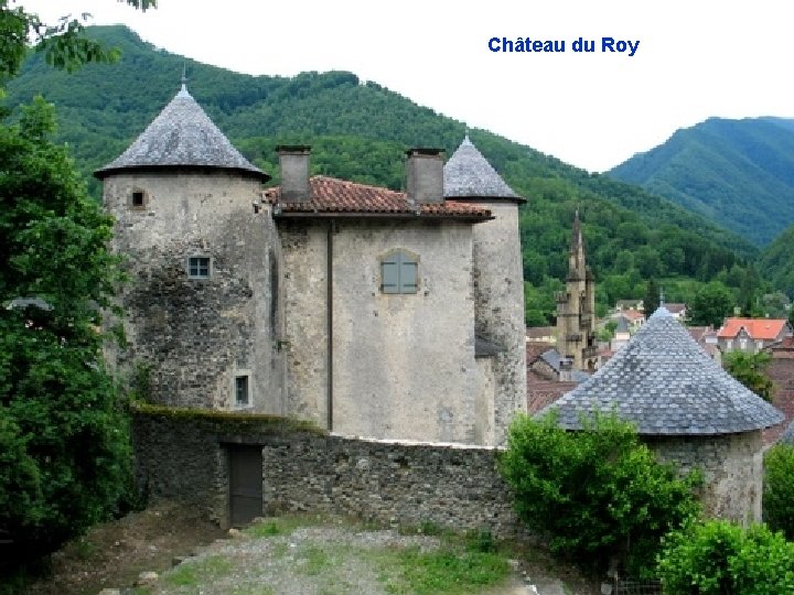 Château du Roy 