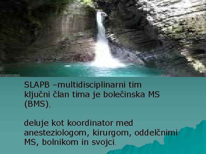SLAPB –multidisciplinarni tim ključni član tima je bolečinska MS (BMS), deluje kot koordinator med