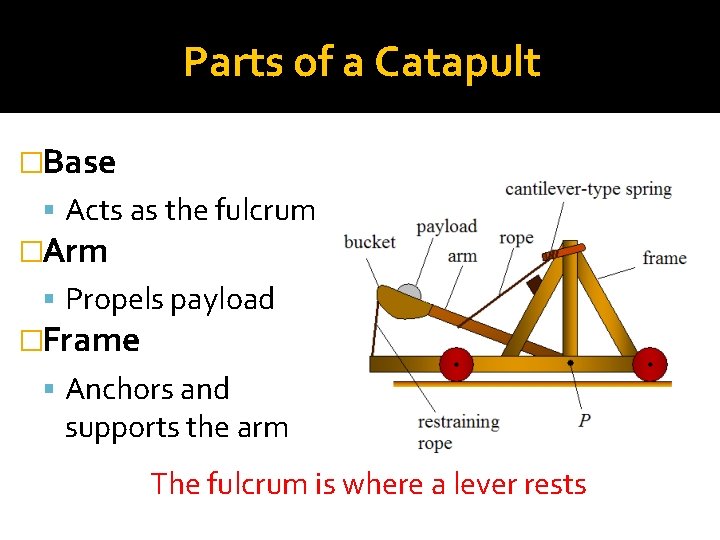 Parts of a Catapult �Base Acts as the fulcrum �Arm Propels payload �Frame Anchors