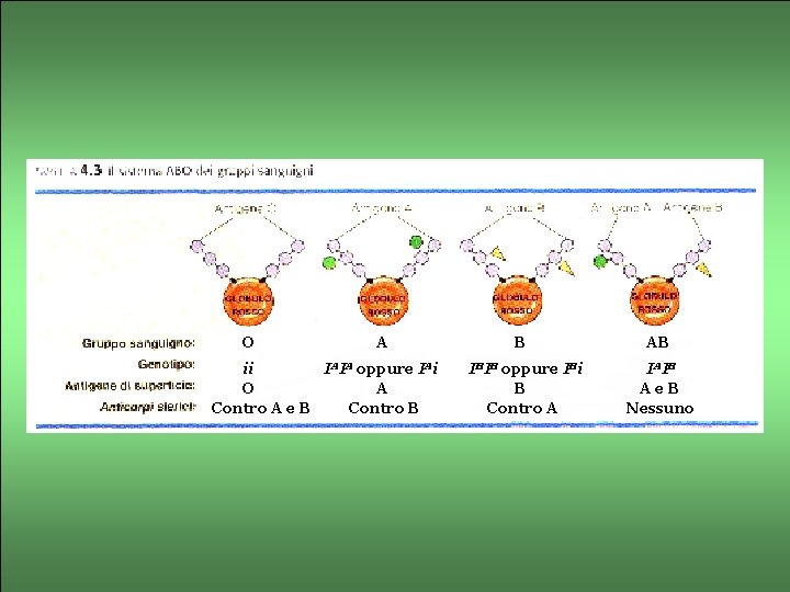 O A ii IAIA oppure IAi O A Contro A e B Contro B