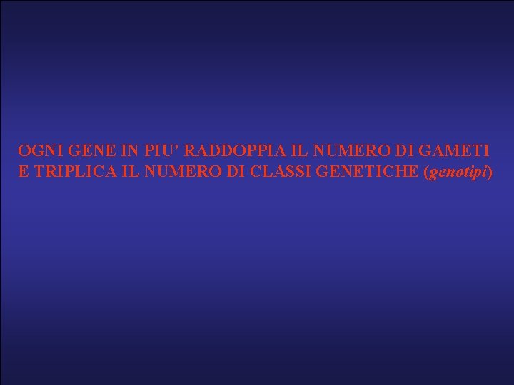OGNI GENE IN PIU’ RADDOPPIA IL NUMERO DI GAMETI E TRIPLICA IL NUMERO DI