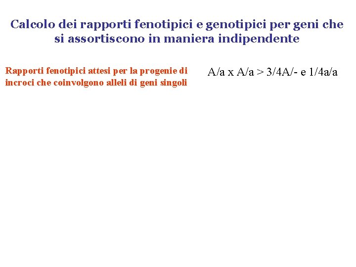 Calcolo dei rapporti fenotipici e genotipici per geni che si assortiscono in maniera indipendente