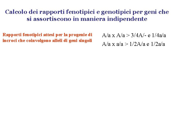 Calcolo dei rapporti fenotipici e genotipici per geni che si assortiscono in maniera indipendente