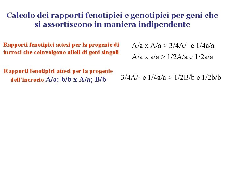 Calcolo dei rapporti fenotipici e genotipici per geni che si assortiscono in maniera indipendente