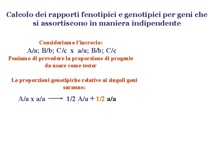 Calcolo dei rapporti fenotipici e genotipici per geni che si assortiscono in maniera indipendente