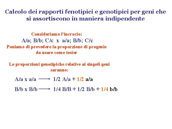 Calcolo dei rapporti fenotipici e genotipici per geni che si assortiscono in maniera indipendente