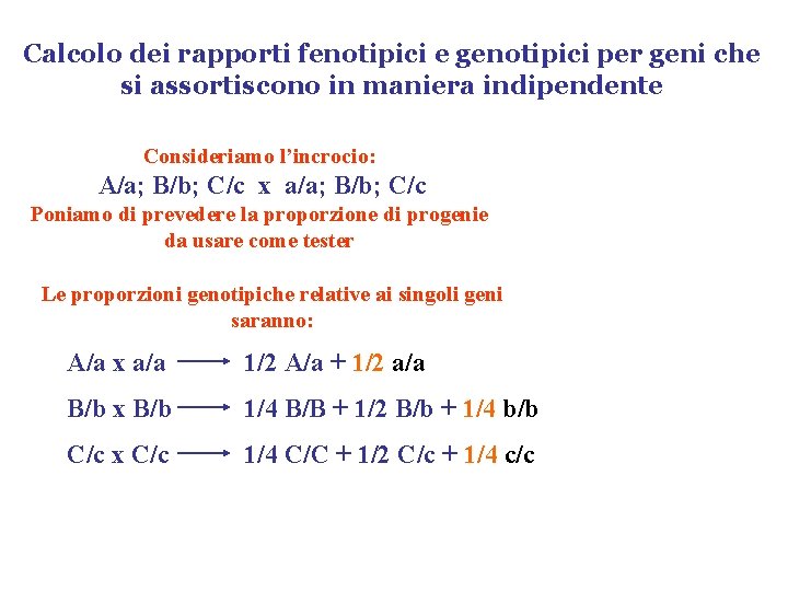 Calcolo dei rapporti fenotipici e genotipici per geni che si assortiscono in maniera indipendente