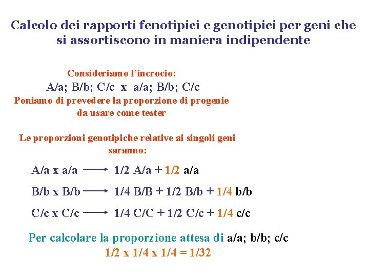 Calcolo dei rapporti fenotipici e genotipici per geni che si assortiscono in maniera indipendente