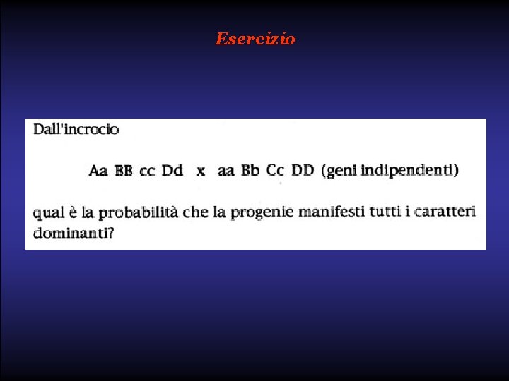 Esercizio 