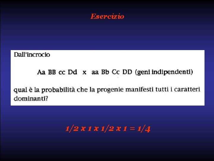 Esercizio 1/2 x 1 = 1/4 