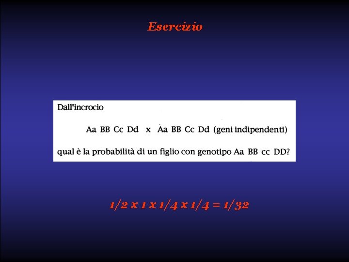 Esercizio 1/2 x 1/4 = 1/32 