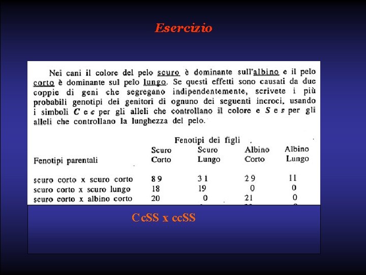 Esercizio Cc. SS x cc. SS 