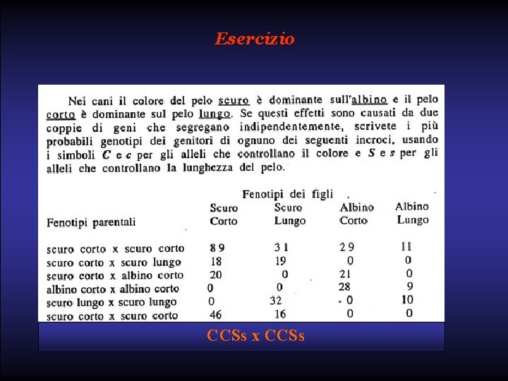 Esercizio CCSs x CCSs 