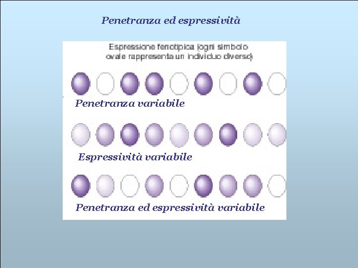 Penetranza ed espressività Penetranza variabile Espressività variabile Penetranza ed espressività variabile 