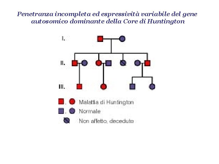 Penetranza incompleta ed espressività variabile del gene autosomico dominante della Core di Huntington 