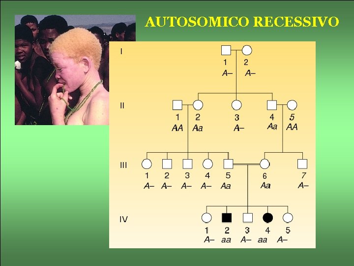 AUTOSOMICO RECESSIVO 