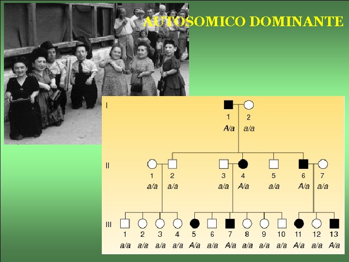 AUTOSOMICO DOMINANTE 