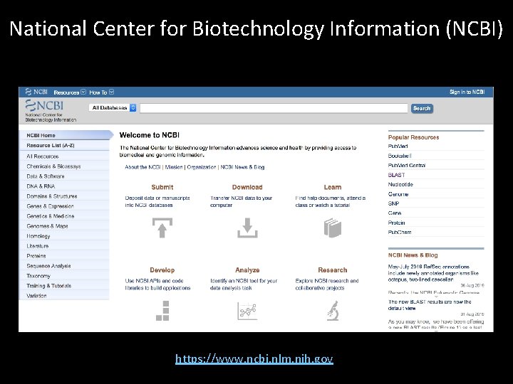 National Center for Biotechnology Information (NCBI) https: //www. ncbi. nlm. nih. gov 