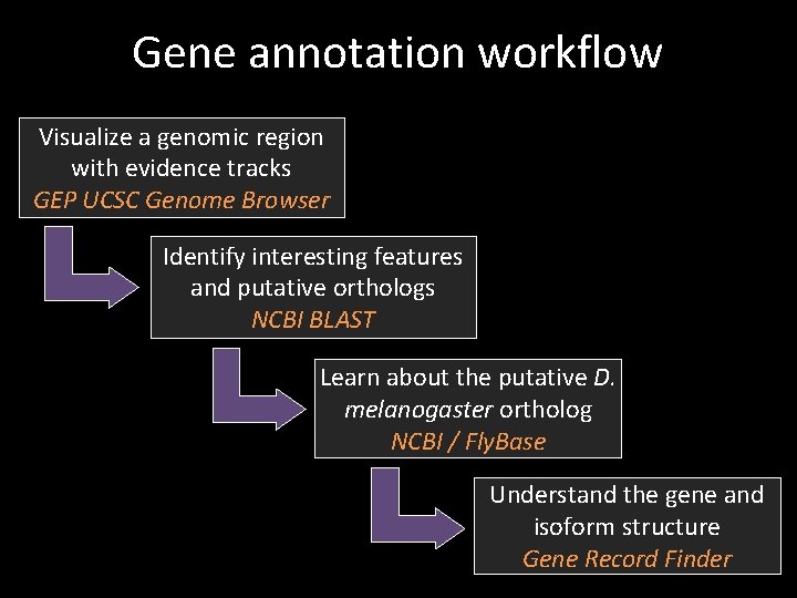Gene annotation workflow Visualize a genomic region with evidence tracks GEP UCSC Genome Browser