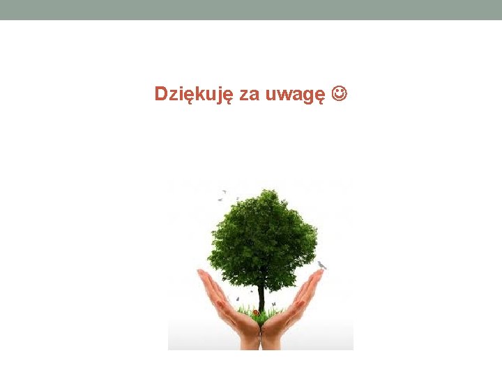 Dziękuję za uwagę 