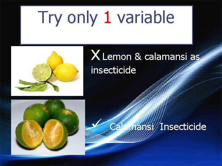 Try only 1 variable x Lemon & calamansi as insecticide ü Calamansi Insecticide 